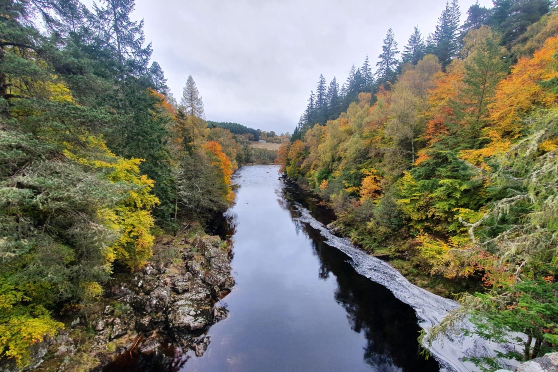 🍁🍂 Autumn Newsletter 🍂🍁