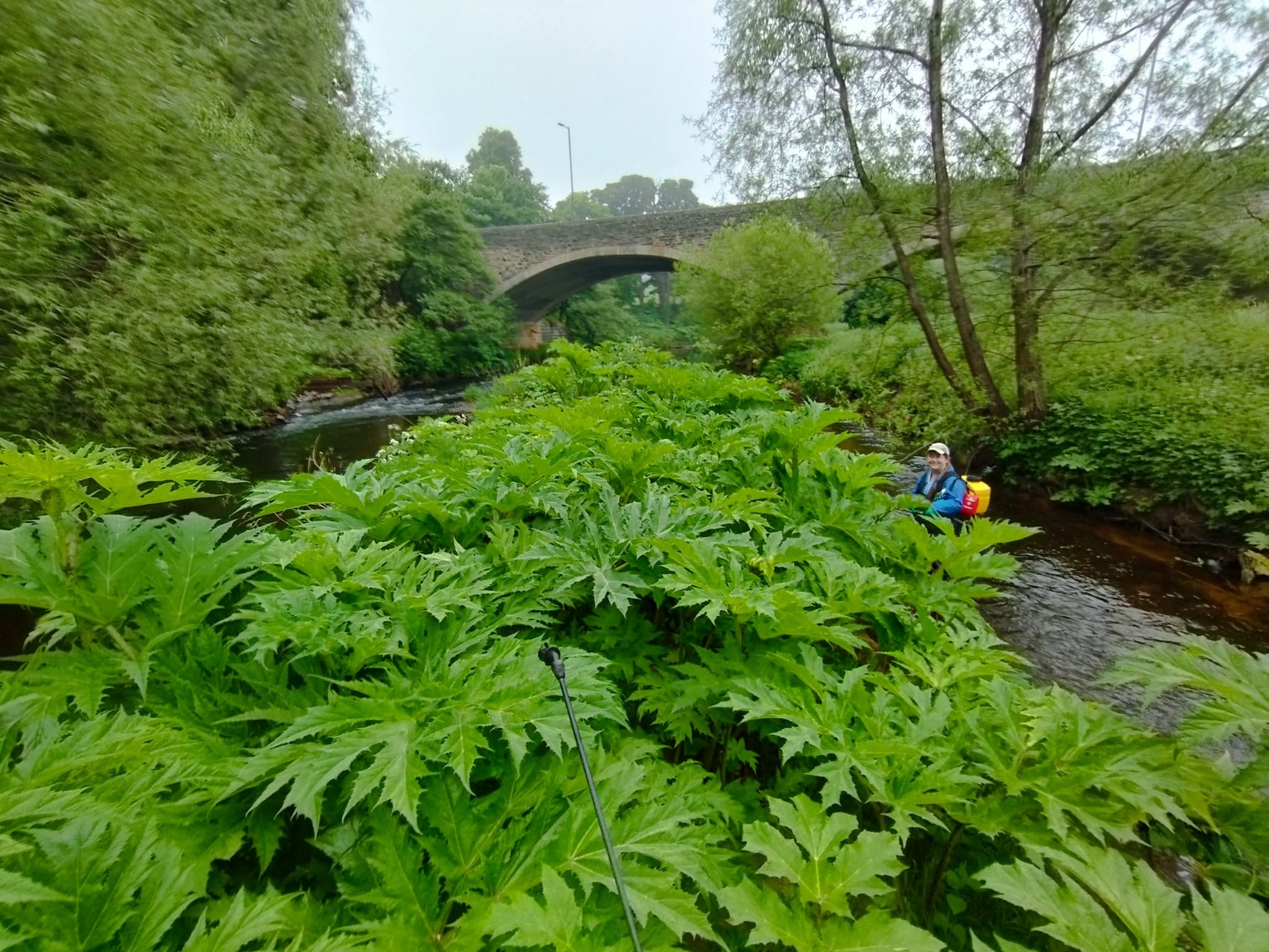 News from our rivers! 🌊🌿