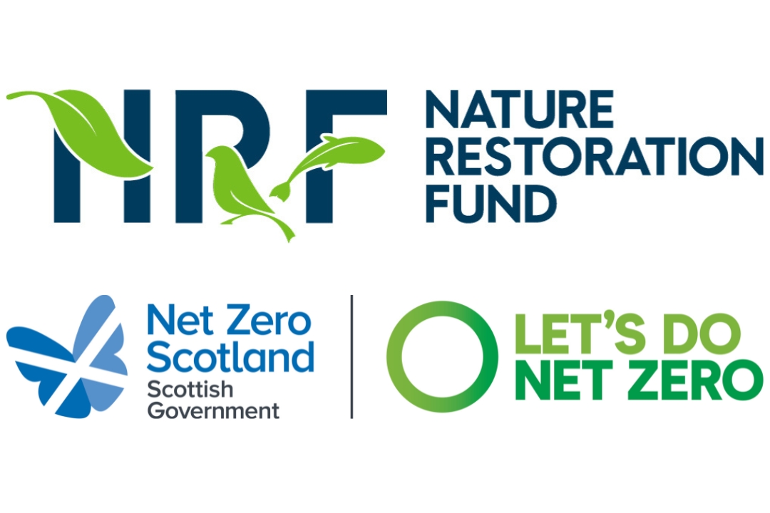 Project Extension Special