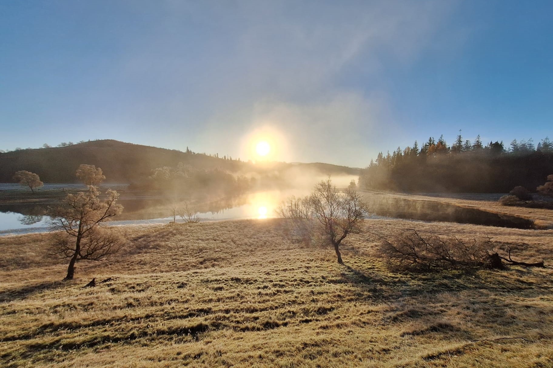 ☃️❄️ Holiday Newsletter ✨🎄