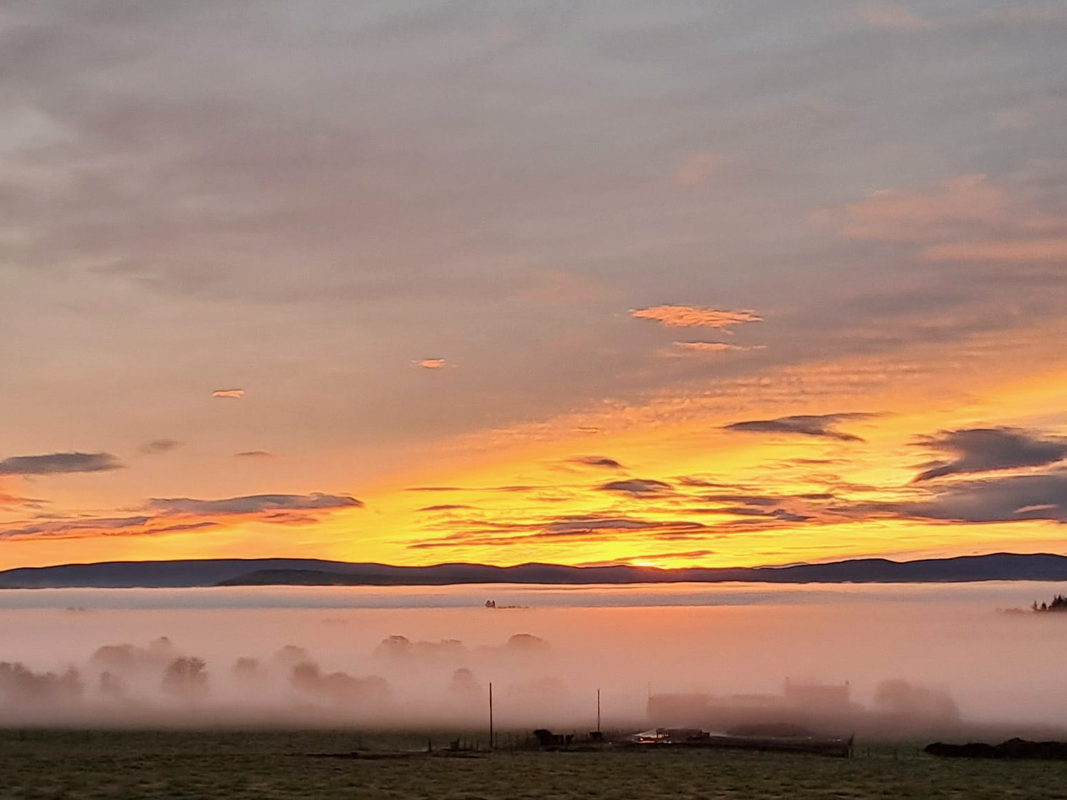 ☃️❄️ Holiday Newsletter 🎄🕯️