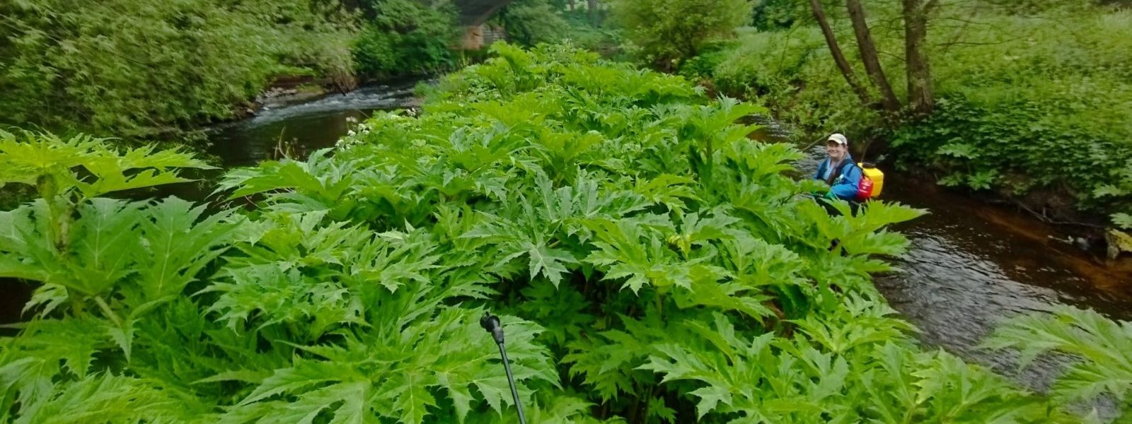 News from our rivers! 🌊🌿