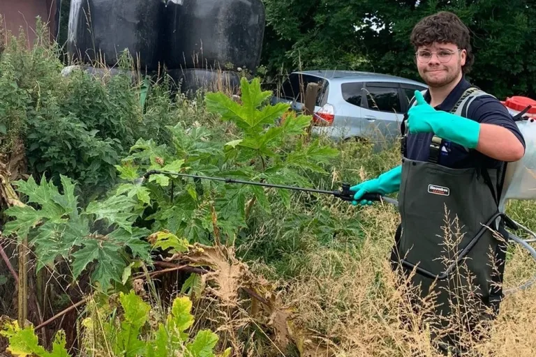 My Experience as a Seasonal Project Officer with the Scottish Invasive Species Initiative