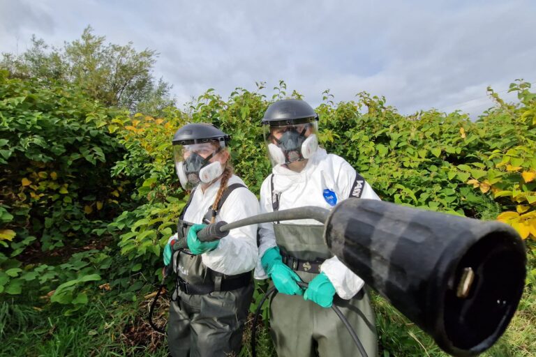 Putting ‘Pressure’ on Invasive Plants: A New Approach to Giant Hogweed and Japanese Knotweed Control