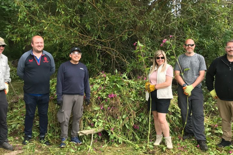 Reflecting on Himalayan Balsam Management and Volunteer Collaboration
