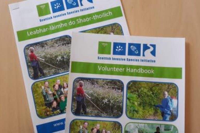 Gaelic welcome to Volunteers