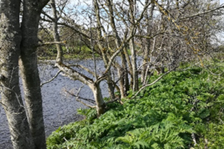 Figure 3a. Monitoring point C - 2019