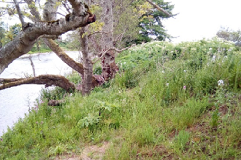 Figure 3b. Monitoring point C - 2020