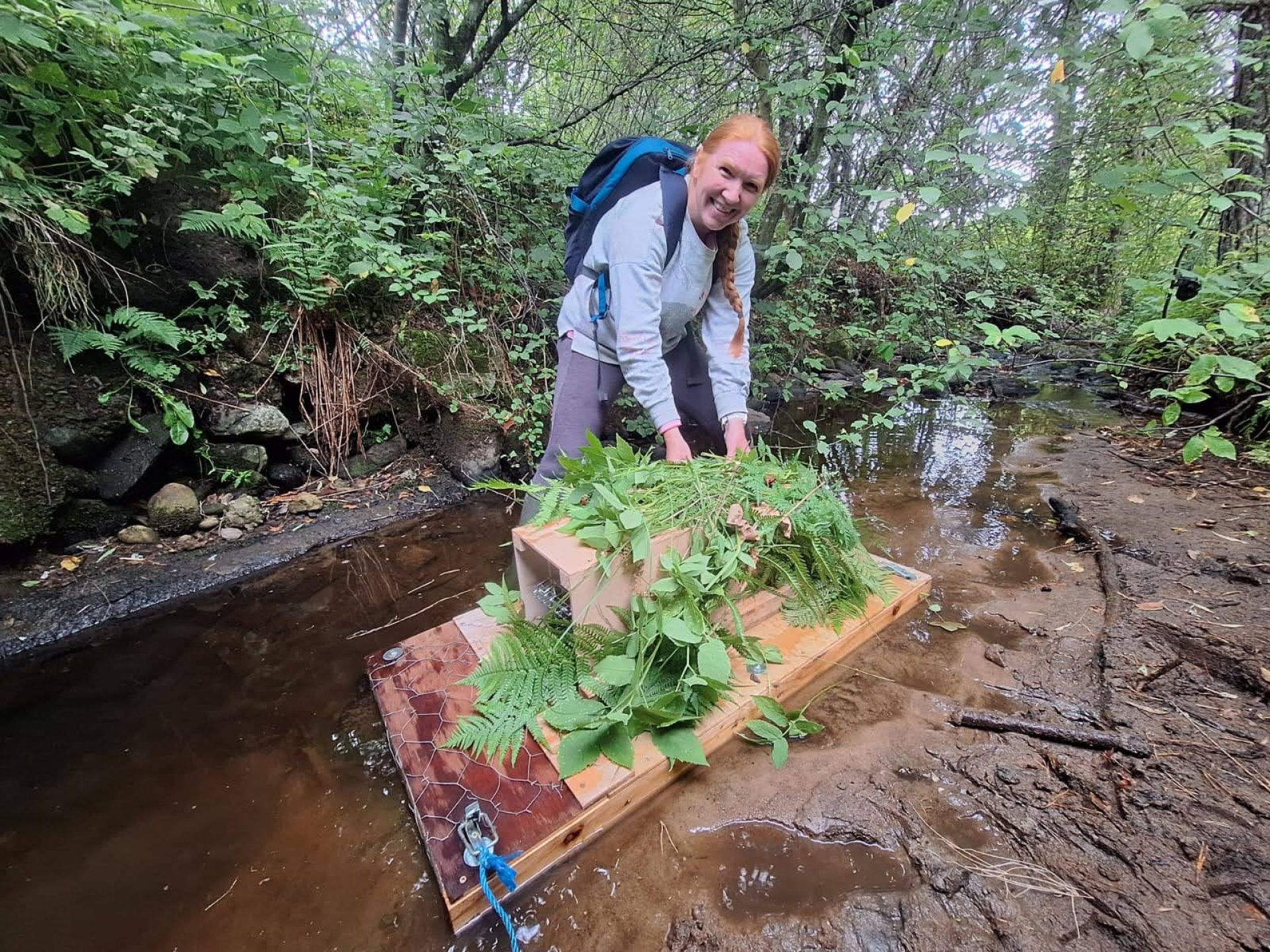 Invasive Species | Scottish Invasive Species Initiative (SISI)
