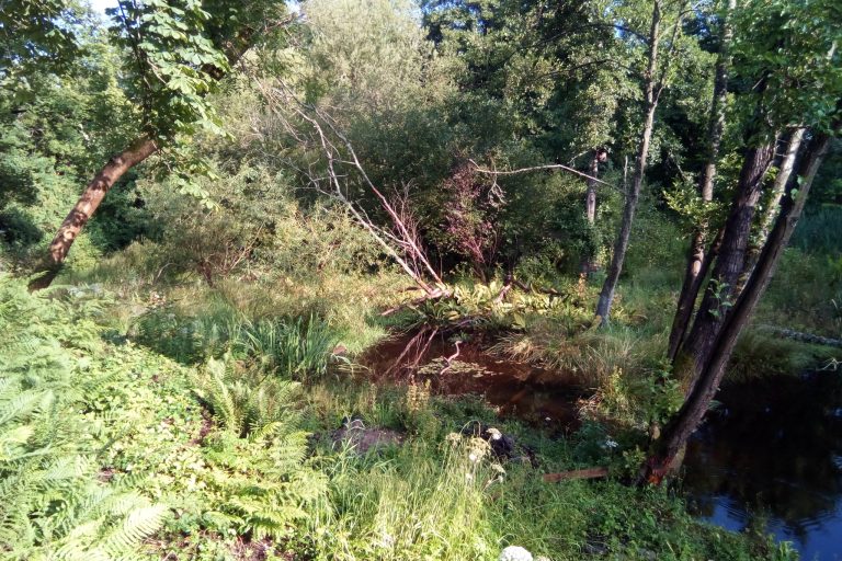 Pond treatment area, 2020