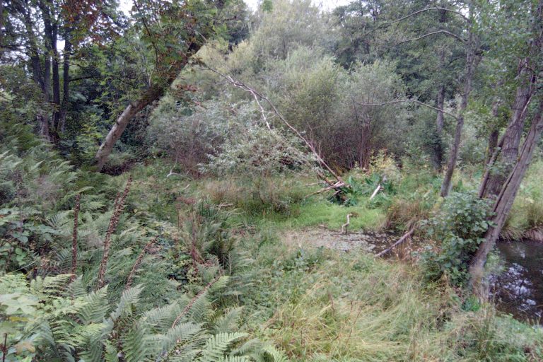 Pond treatment area, 2021