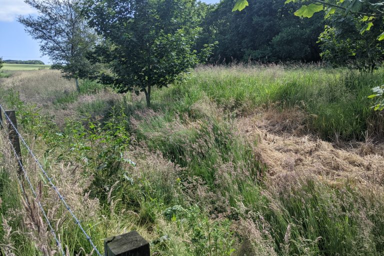 Figure 1b. Stuartfield Burn 2021 site 1 – after 2021 control