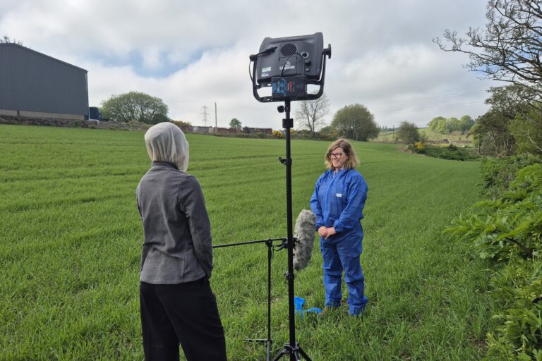 Giant hogweed on STV News