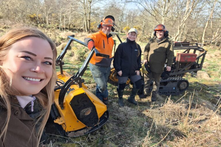 Robo-mulchers clear the way for conservation!