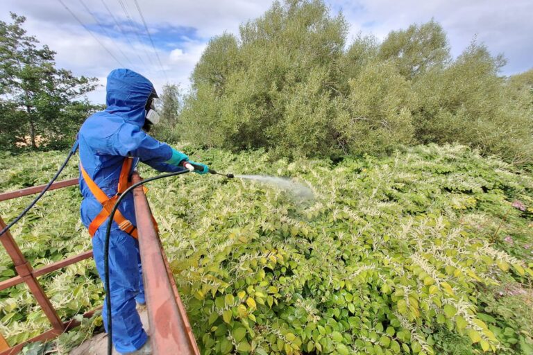 Putting ‘Pressure’ on Invasive Plants Part 2: Success Stories and Lessons Learnt