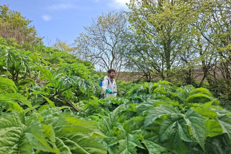 Scottish Invasive Species Initiative expands south to cover the Earn and Eden Rivers