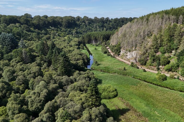 Tackling Invasive Non-Native Species at Gight Wood Wildlife Reserve